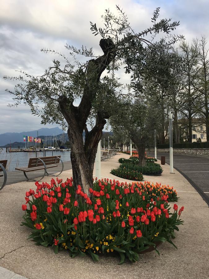 Caba Holiday Bardolino D'Annunzio Exteriér fotografie